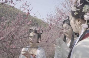 大地换新装，天际焕新颜“快来踏青呀~”——莫干山团建