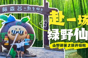 走啊！出门去,去山野寻找夏日的主打色，来一场绿野仙踪之旅~